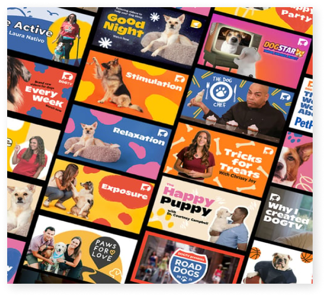 [NO ADS] Fun Entertainment TV for Bored Dogs! 12 Hours 