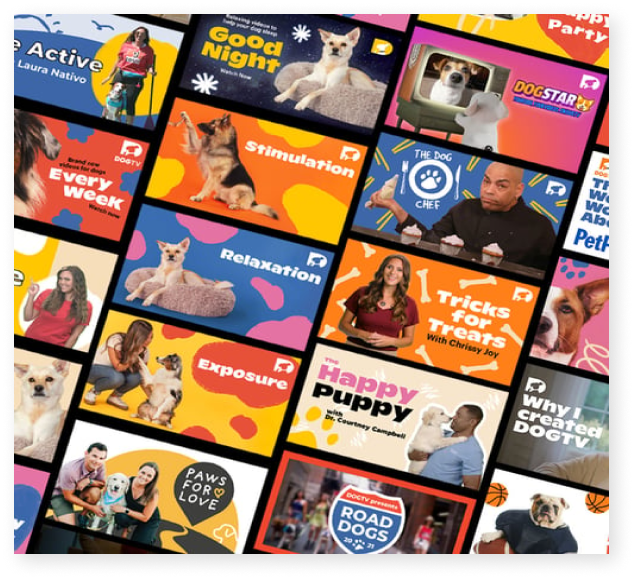 Tv Channel For Dogs And Their Humans | Dogtv: Television For Dogs