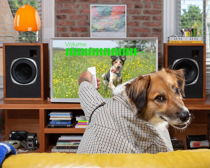 DogWatching DogWatching
