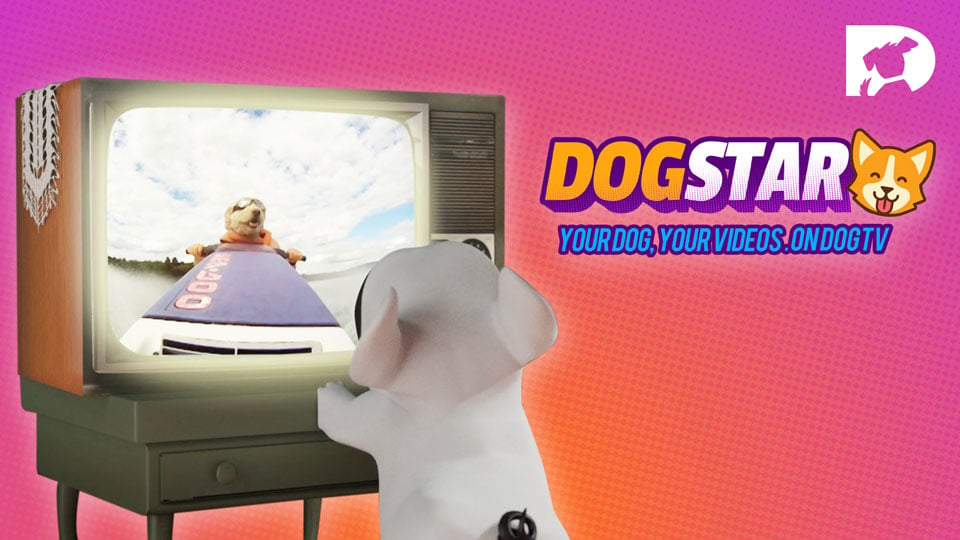 DOGSTAR - Your Dog, Your Videos, On DOGTV