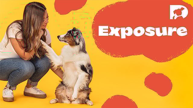 Exposure