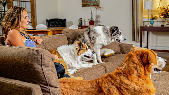 Woman watching DOGTV with her dogs and cats