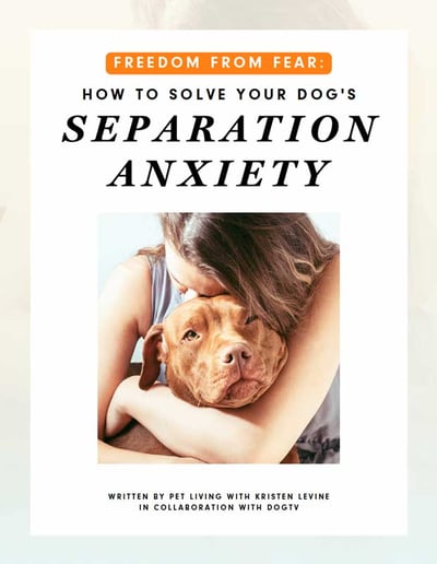 8 Products to Help Ease Separation Anxiety in Dogs