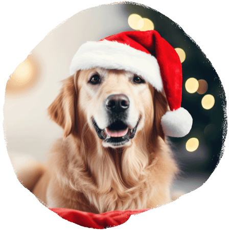 TV channel for Dogs and their Humans DOGTV Television for Dogs