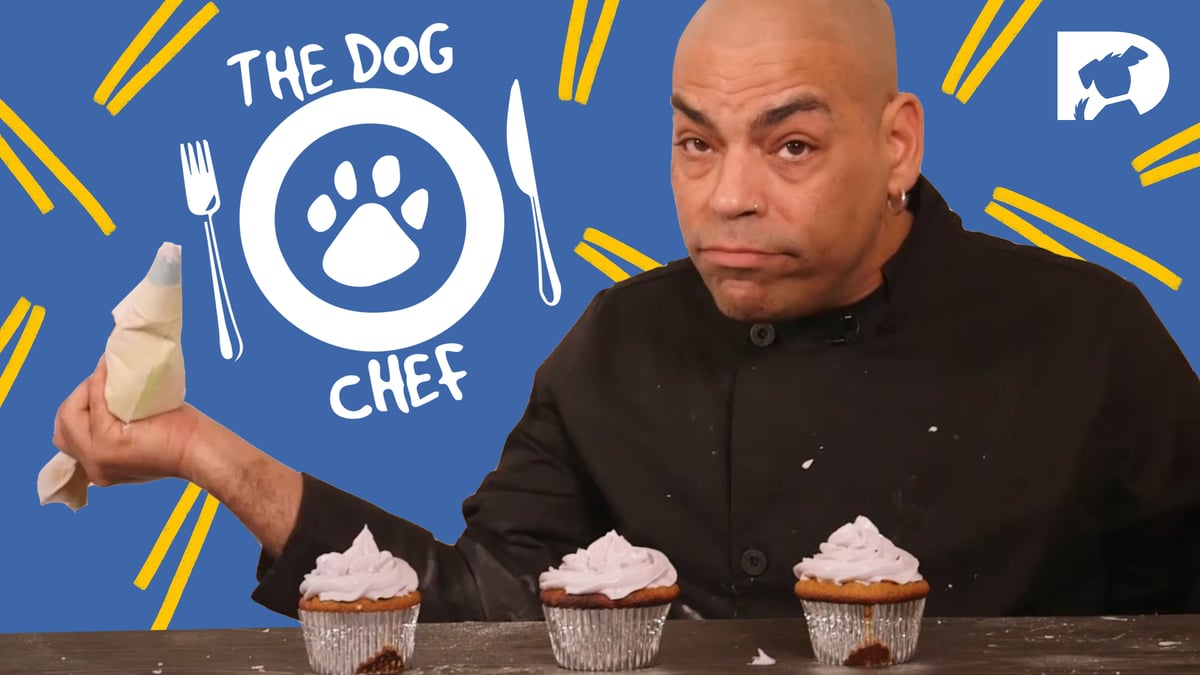 The Dog Chef