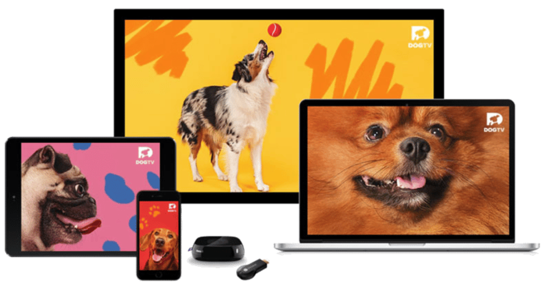 DOGTV Devices DOGTV Devices