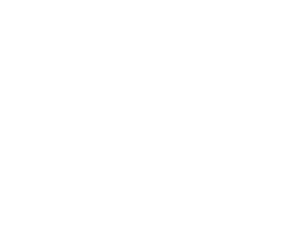 Vector Vector