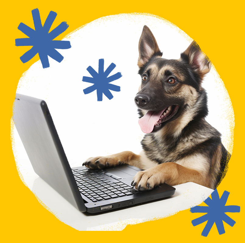 A German Shepherd typing an email