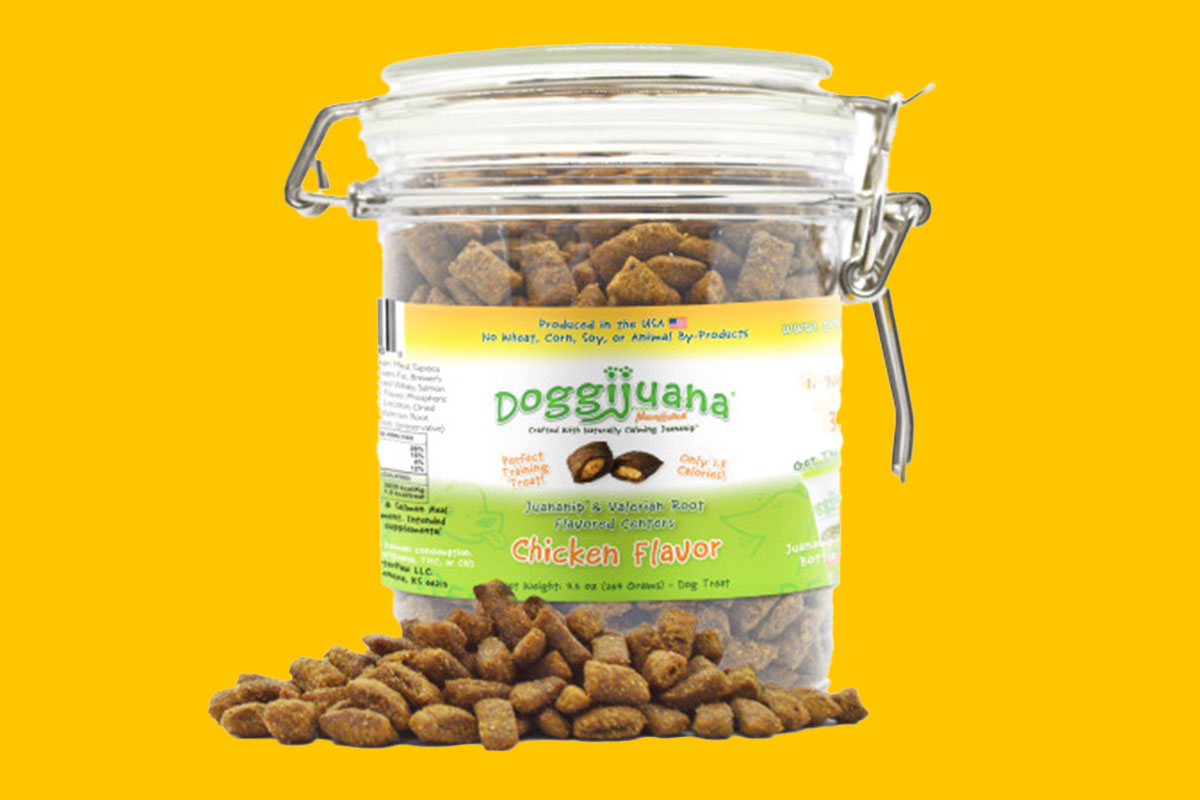 A jar of Doggijuana catnip treats for dogs