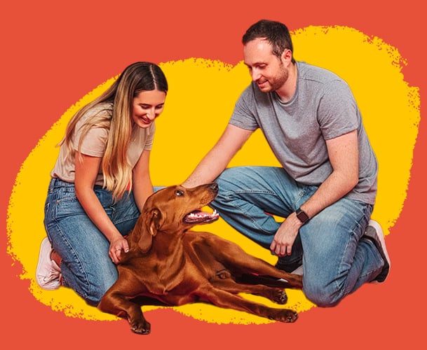 A couple petting a dog