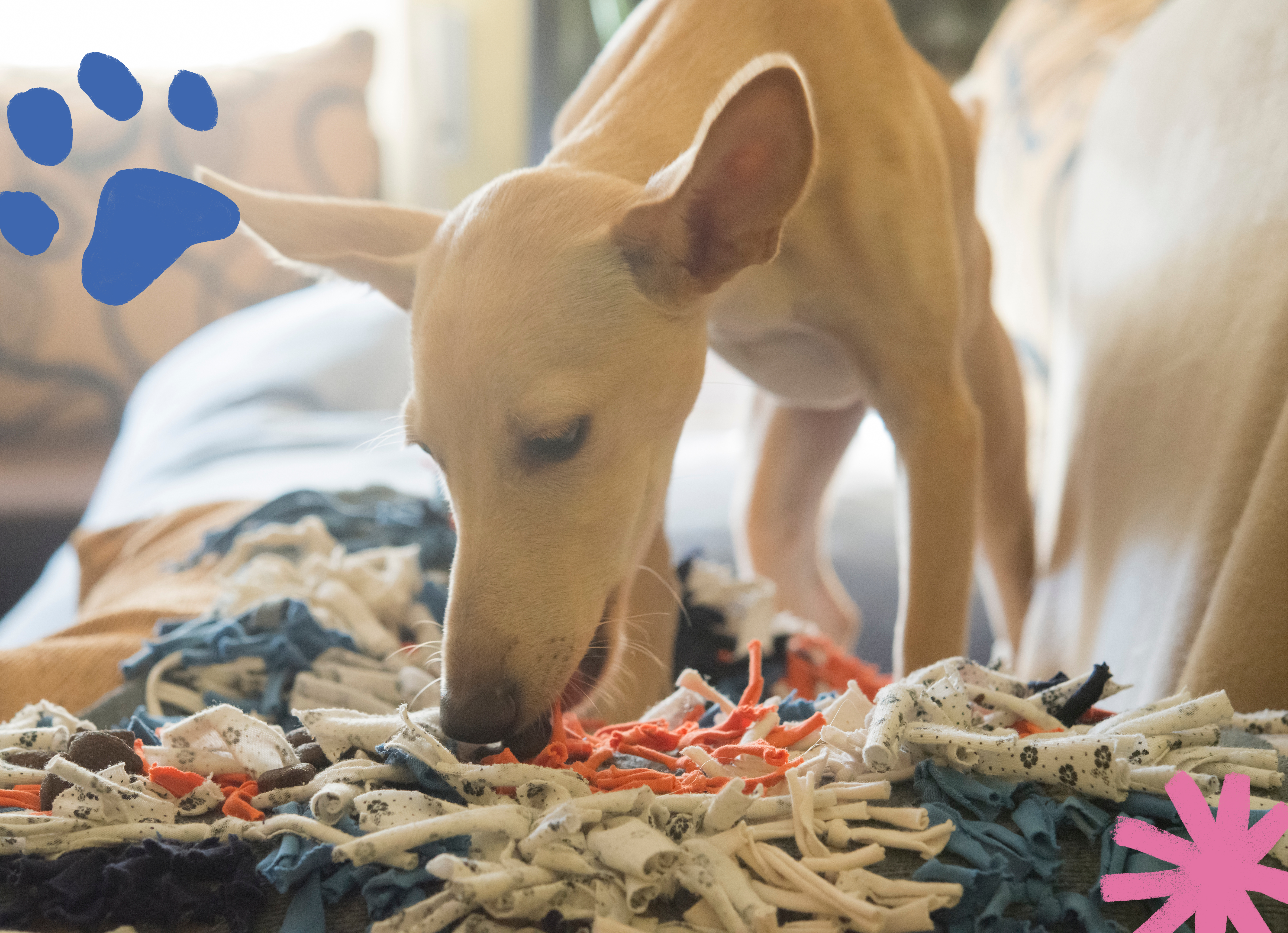 How To Make a Snuffle Mat for Dogs