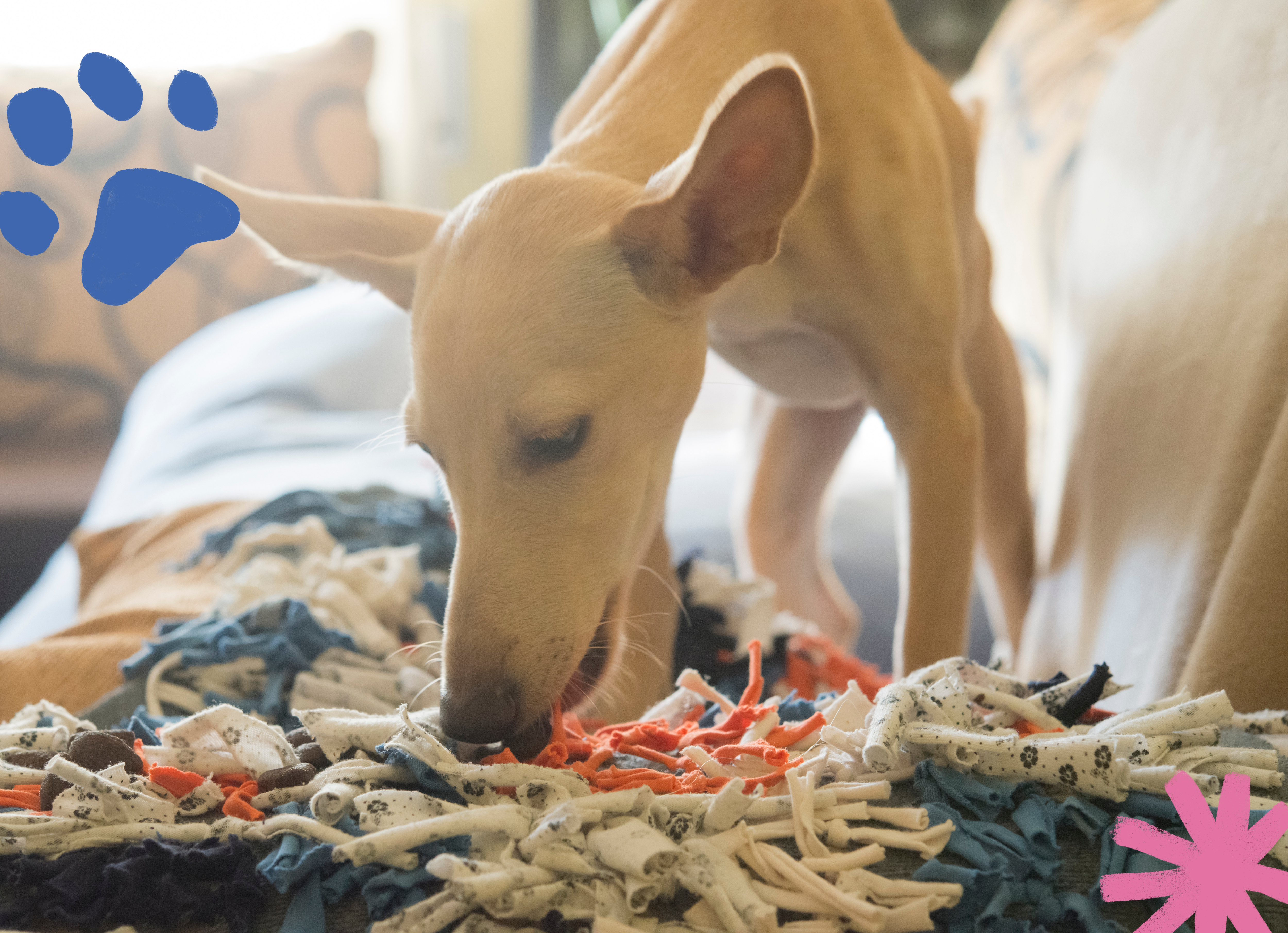 white mixed breed dog eating treats from a snuffle mat