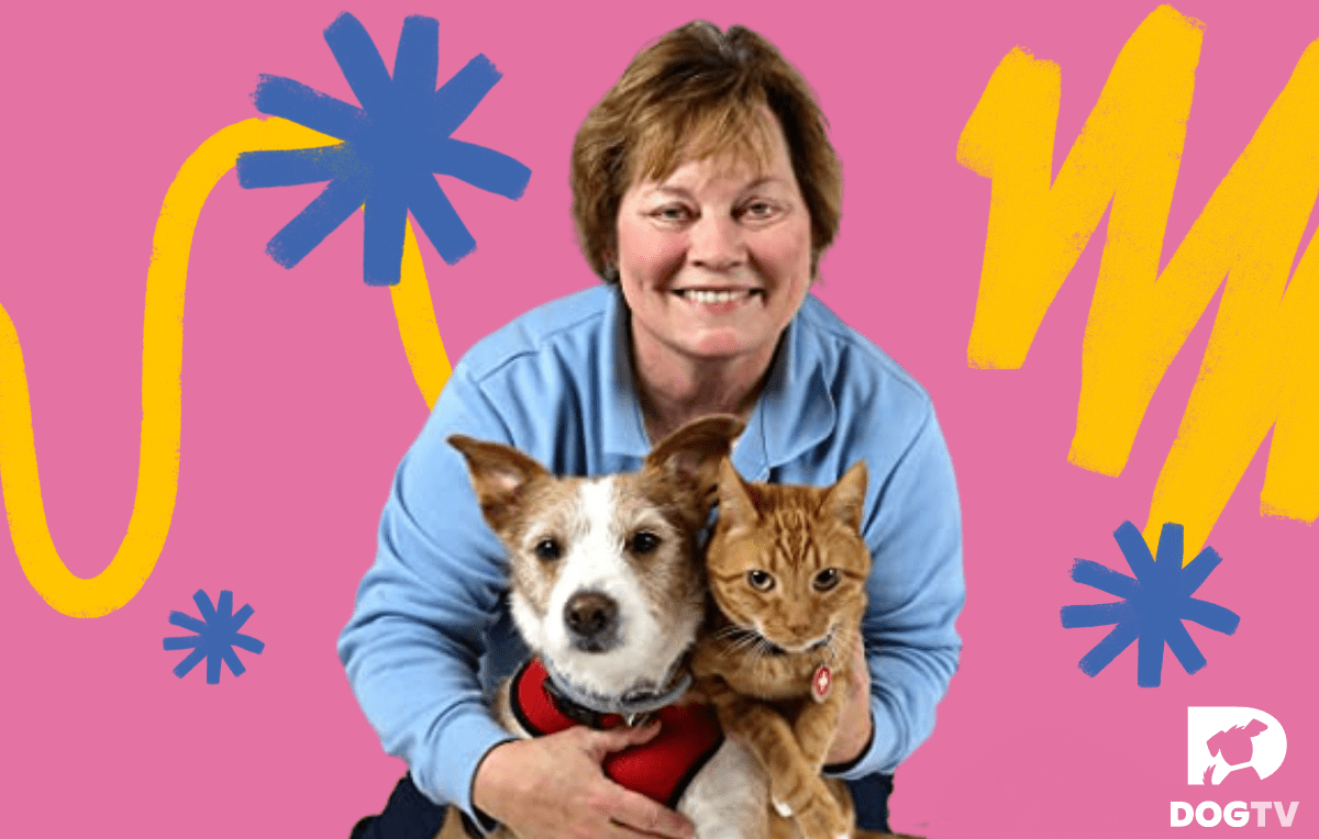 DOGTV Interviews Pet Health and Safety Coach Arden Moore
