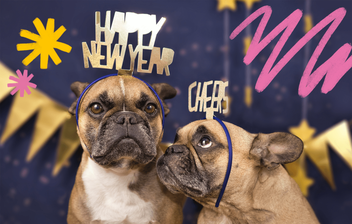 5 New Year’s Resolutions to Benefit You and Your Dog