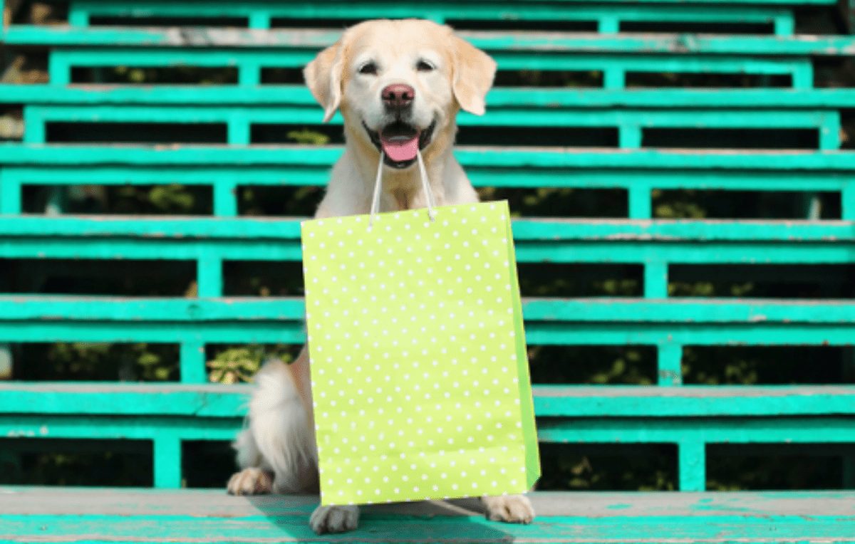 The best Mother’s Day Gifts for Dog Moms (or Moms Who Love Dogs!)