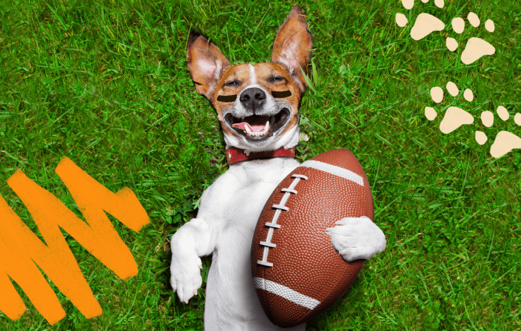 How to Throw a Puppy Bowl Party: DOGTV’s Guide to Tail-gating