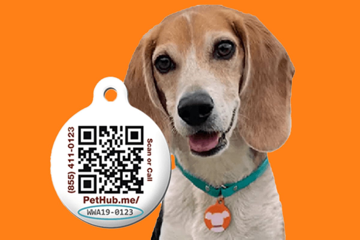DOGTV ID tag keeping your pet safe at home