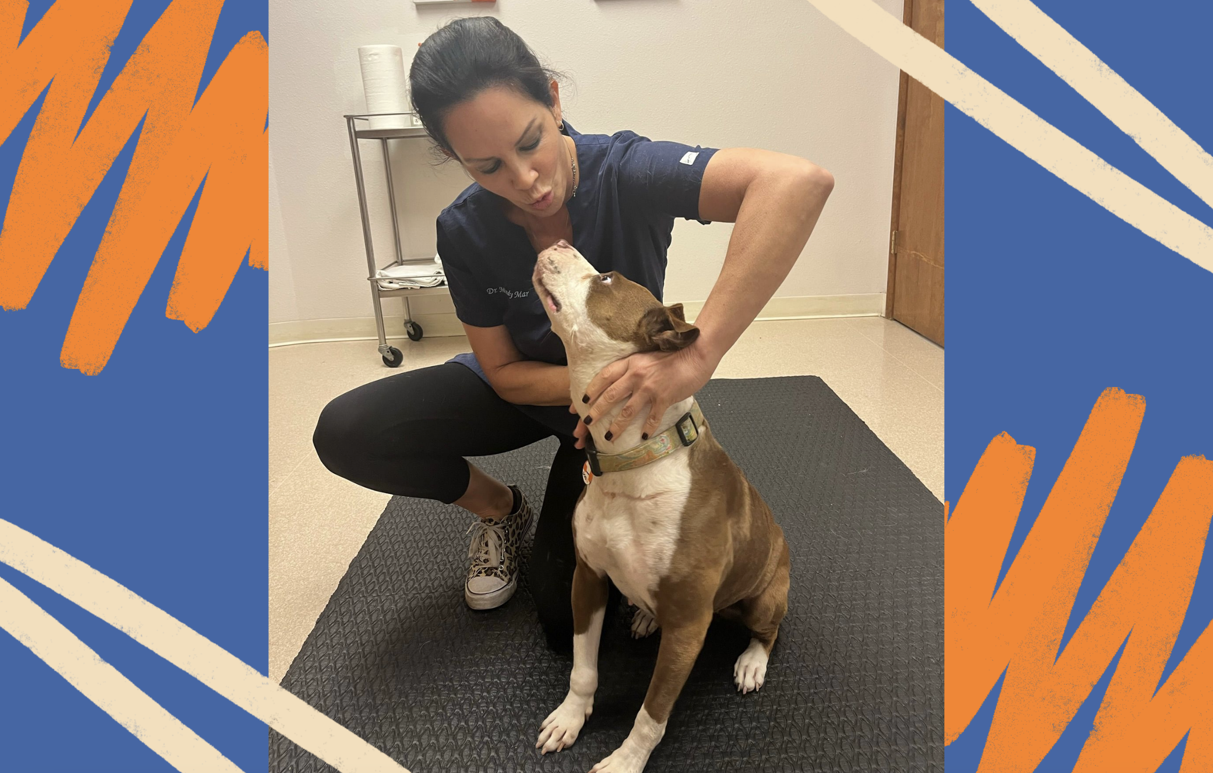 Boo attends a veterinary visit with Dr. Mindy Mar 