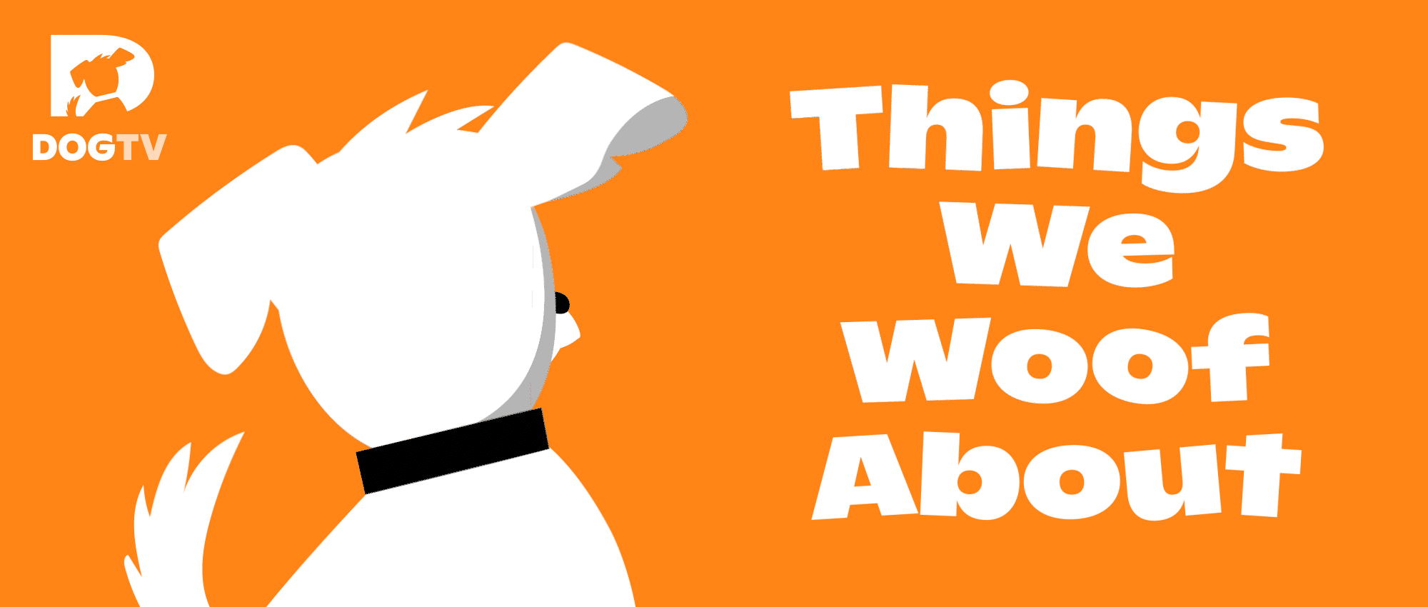 TWWA_gif_orange FS-1 TWWA_gif_orange FS-1