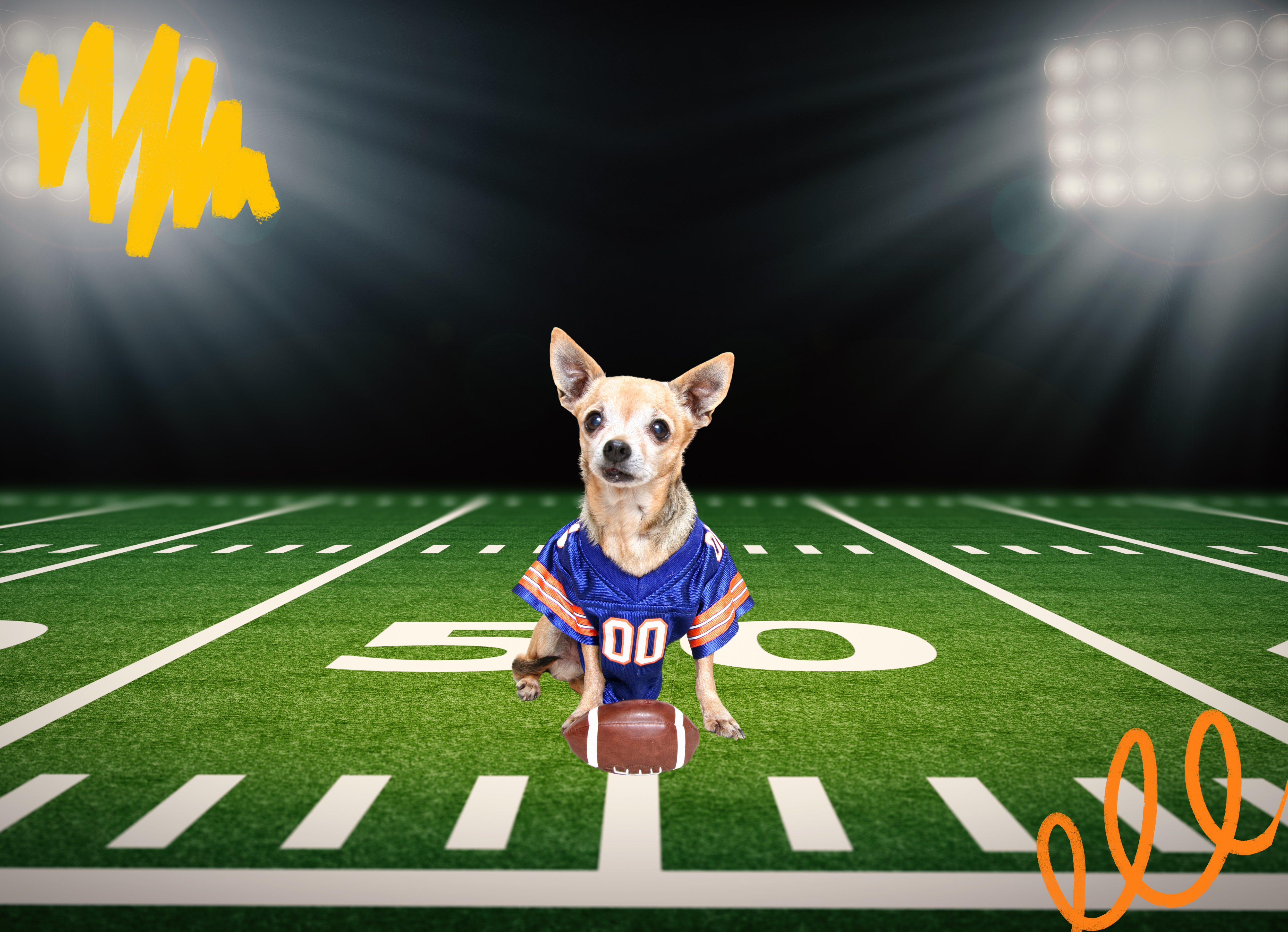 Tailgate Time: Dog-Friendly Football Snacks for Game Day