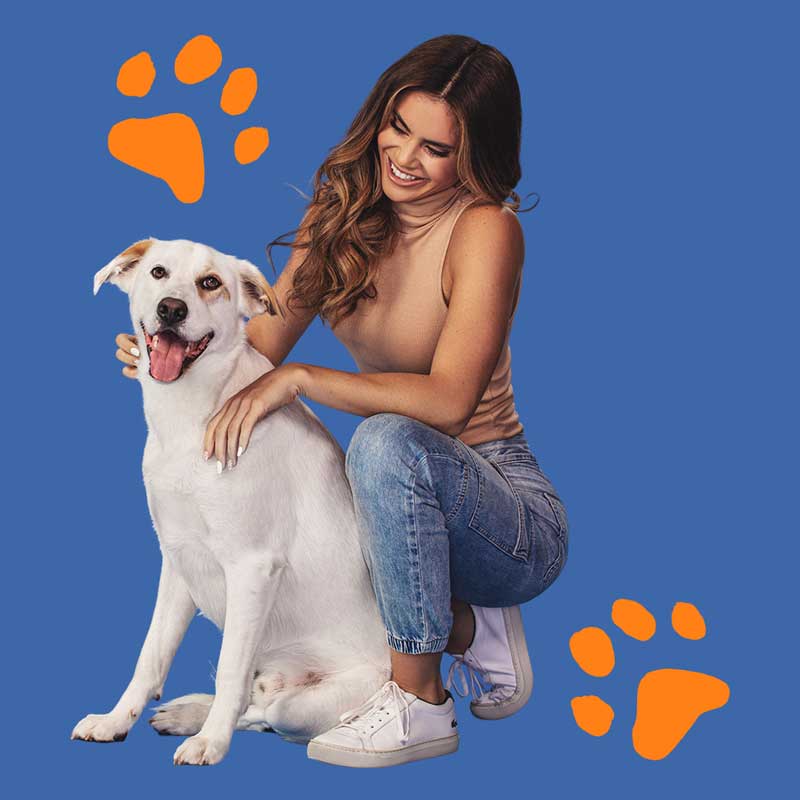 A lady and her dog