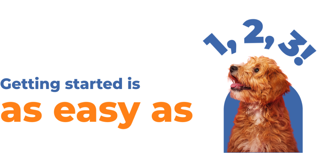 dog-banner