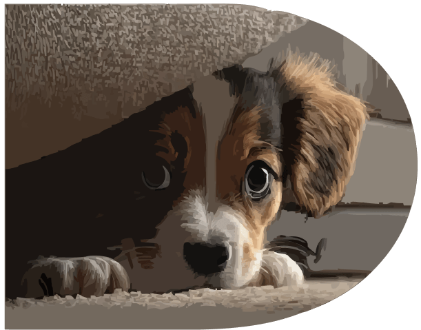 CutePup_v2