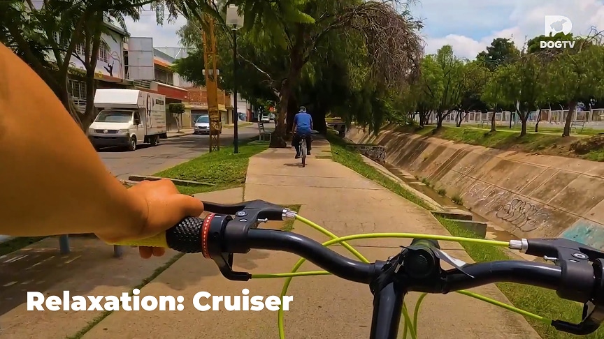 Relaxation - Cruiser