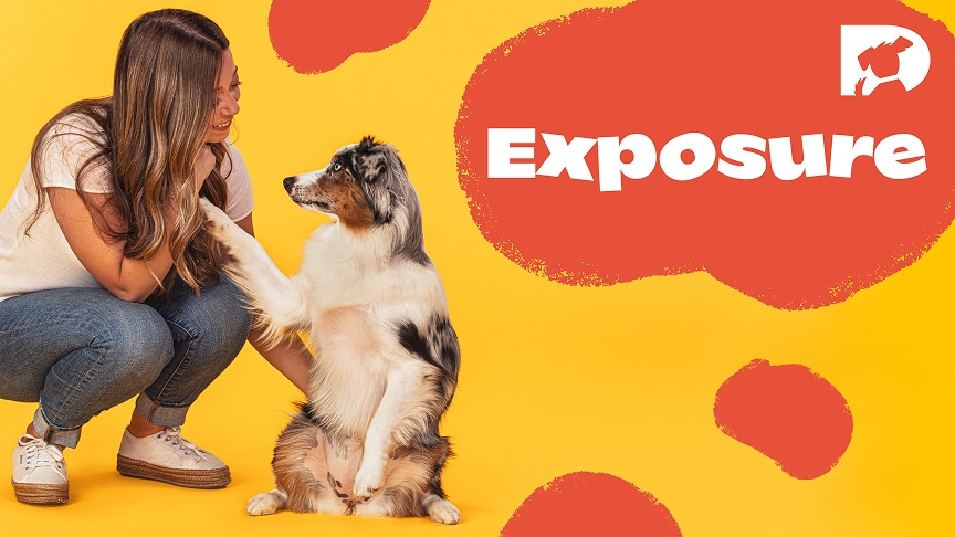 Exposure