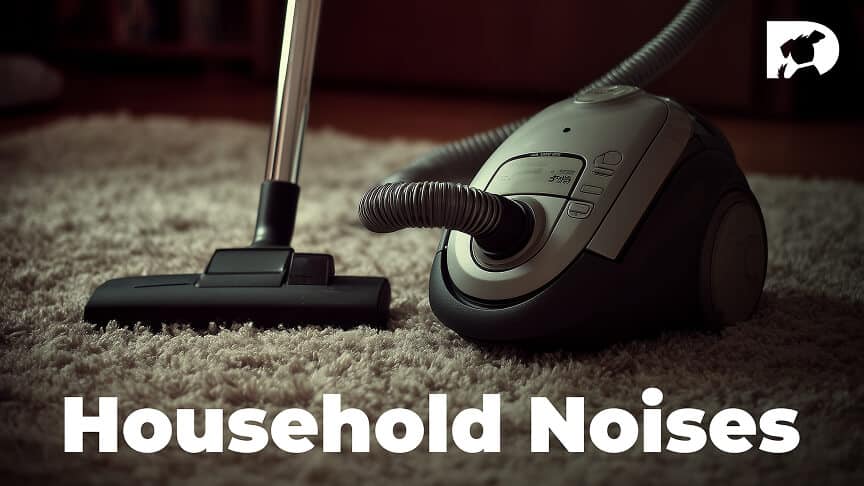 Household Noises