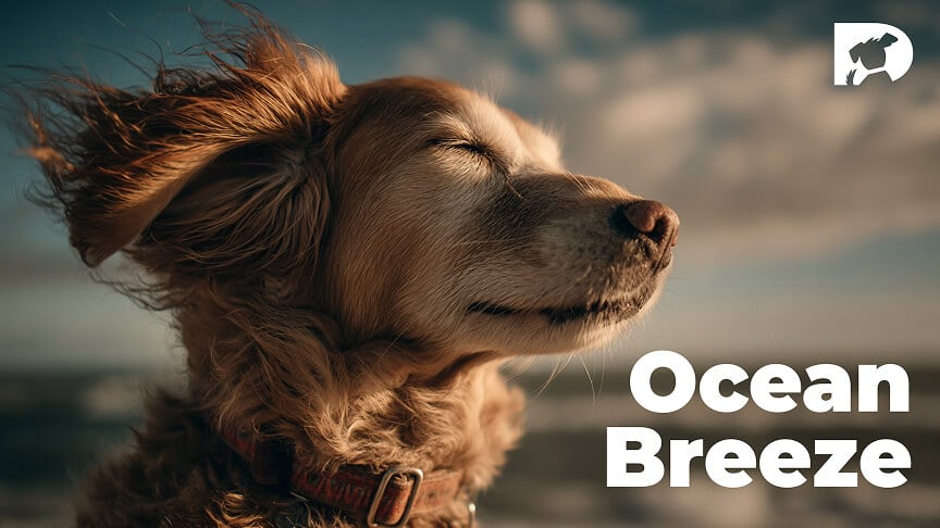 OceanBreeze