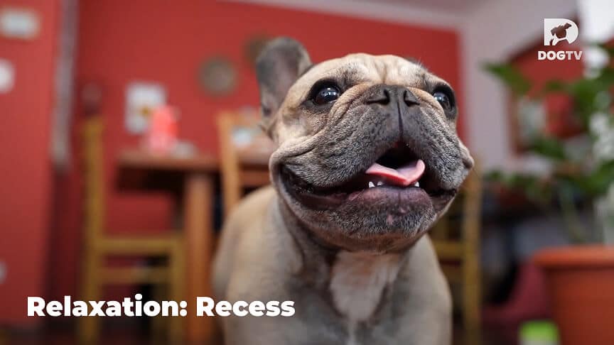 Relaxation - Recess