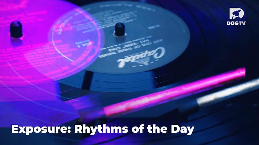 Rhythms-of-the-day