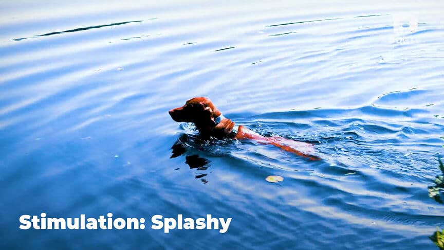 Relaxation - Splashy