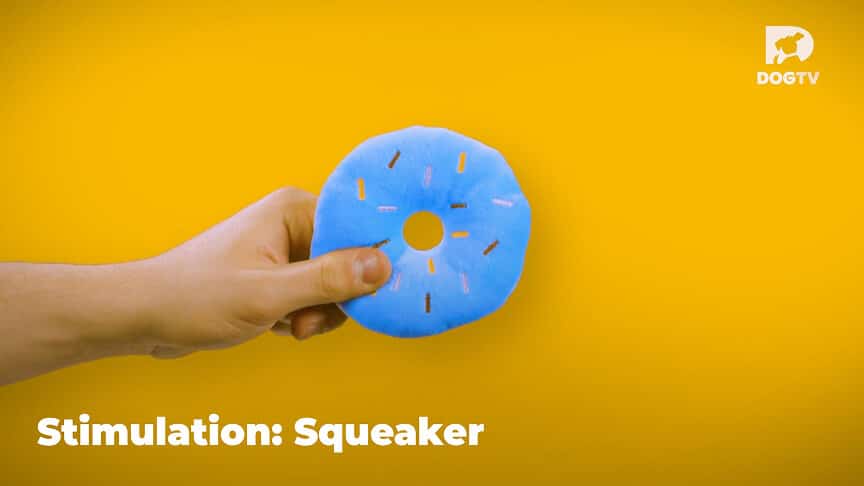 Relaxation - Squeaker