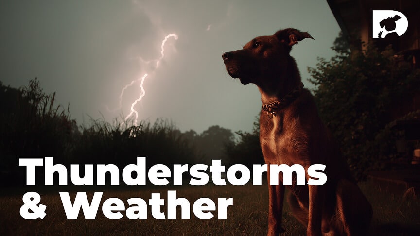 Thunderstorms