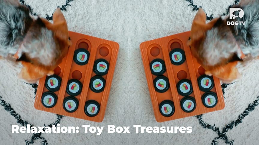Relaxation - Toy Box Treasures
