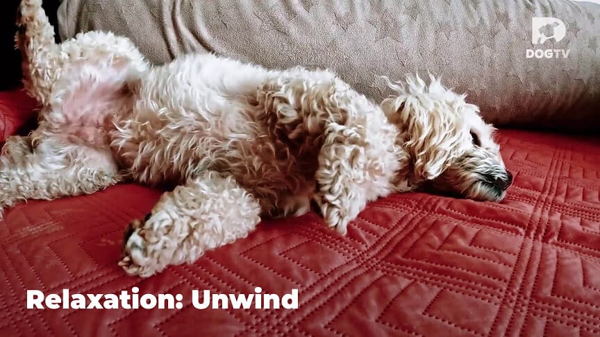 Relaxation - Unwind