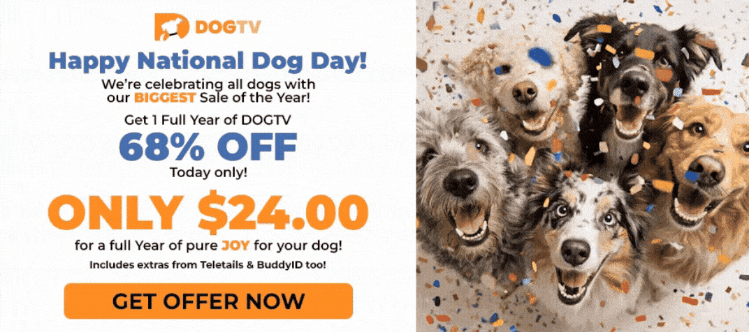 Adobe Express - DOGTV_NDD_Popup_Desktop