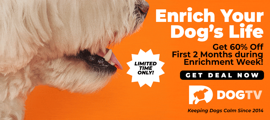 Enrichment_PopUp-Sep15-30-2025