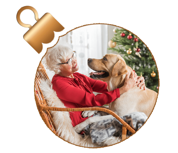 Give the gift - ornament with image