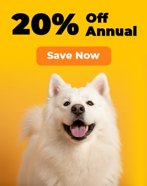 January Promo - 20% off annual