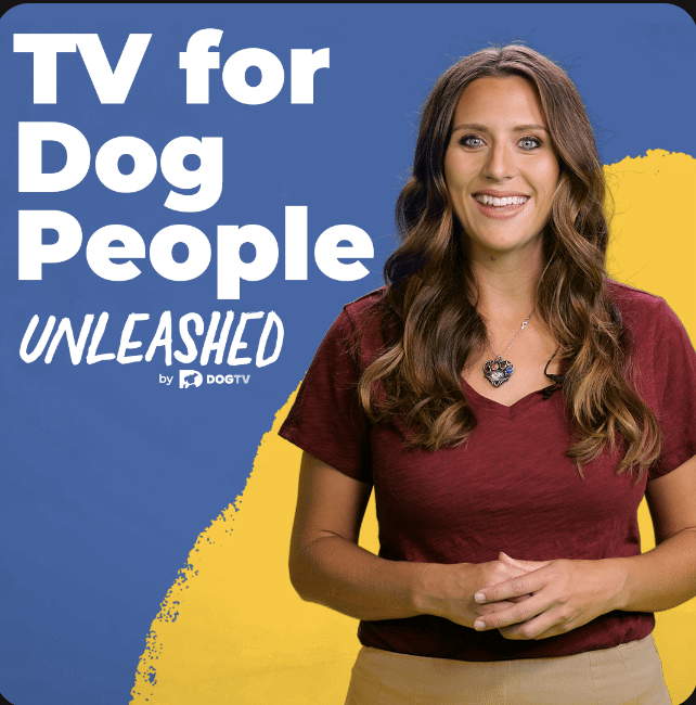 Unleashed by DOGTV — TV for Dog People