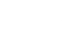 Vizio