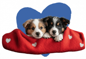 Promo_Feb26_PuppyLove